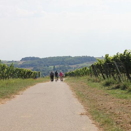 Ferienwohnung Familie Seuferle Schweigen-Rechtenbach Bagian luar foto